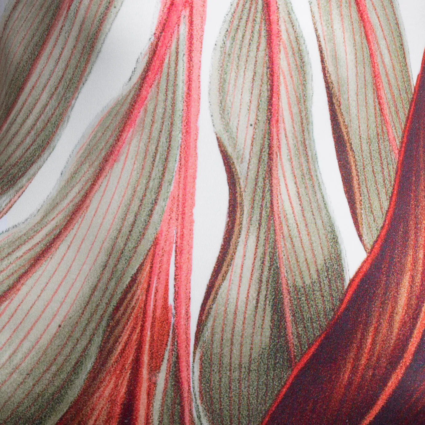 DRACAENA - SWIMSUIT