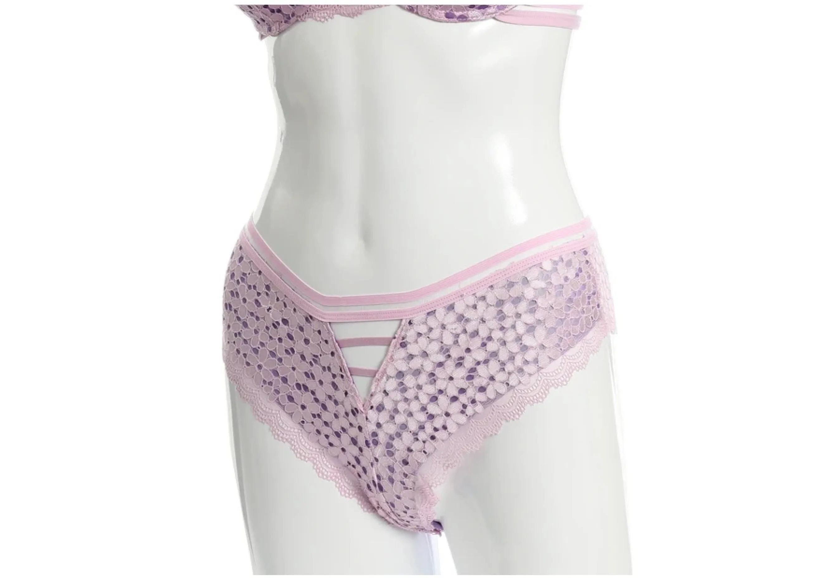 Strappy & Allover Sheer Lace Panties