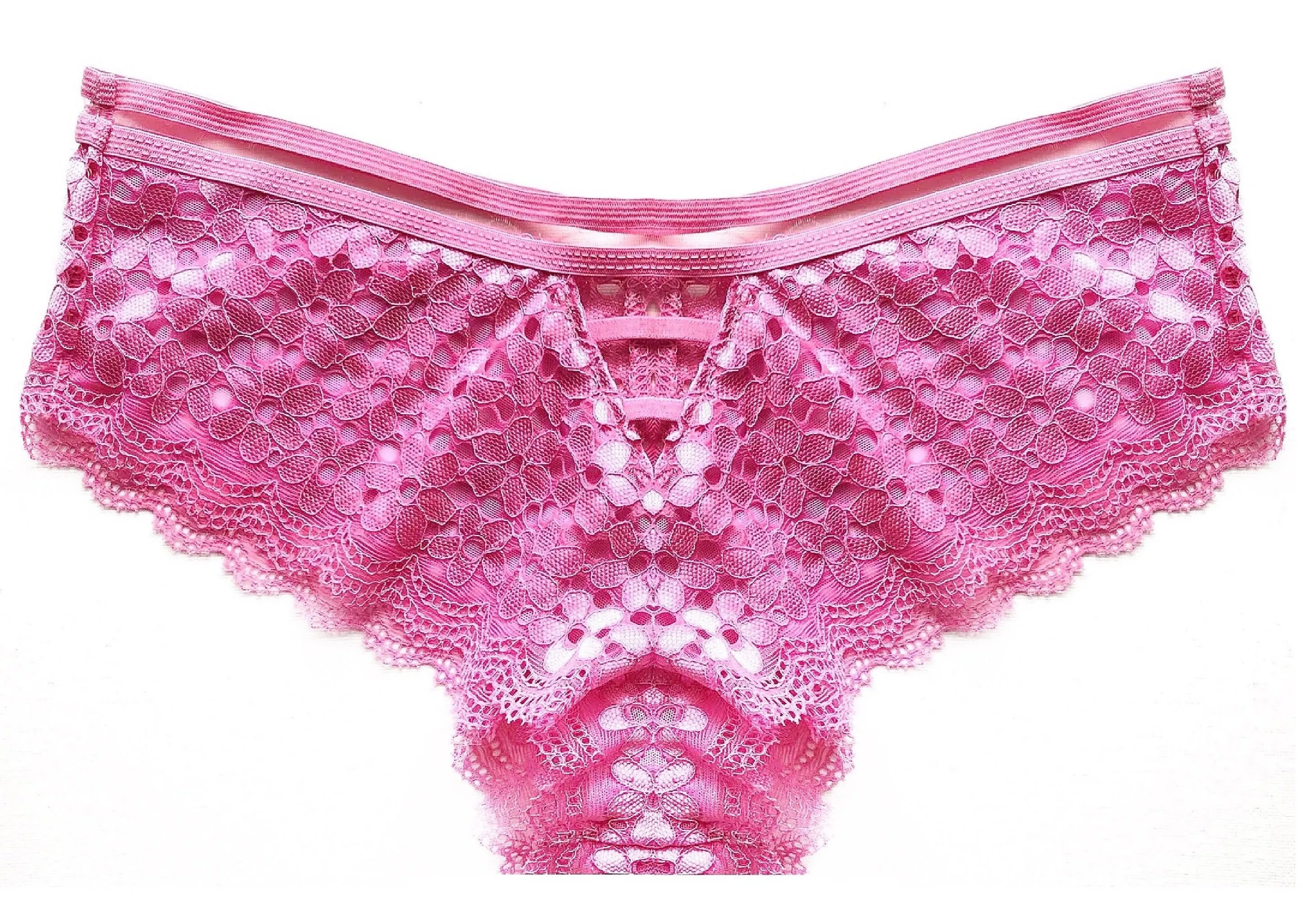 Strappy & Allover Sheer Lace Panties