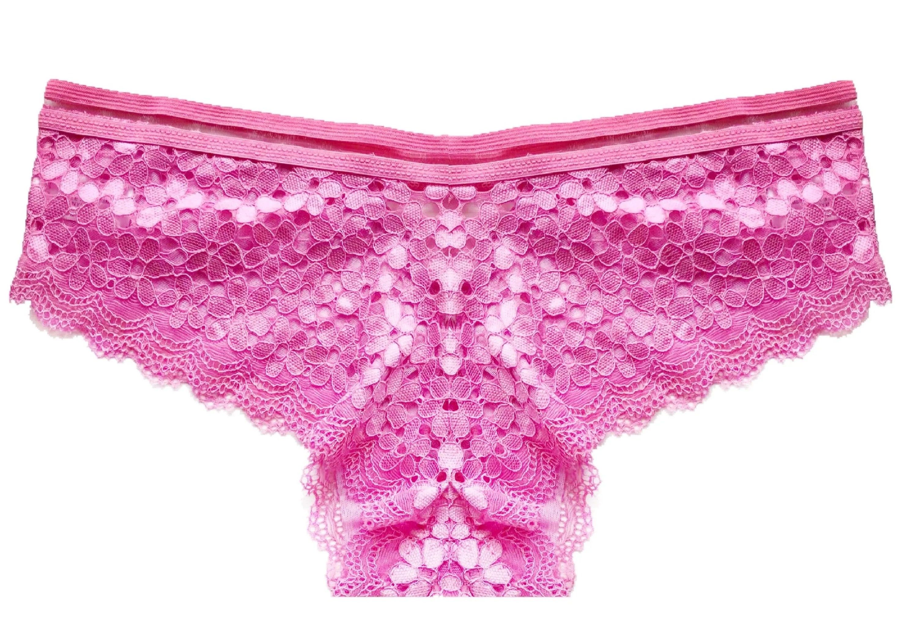 Strappy & Allover Sheer Lace Panties